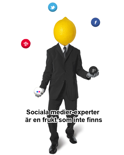 Sociala medier-experter